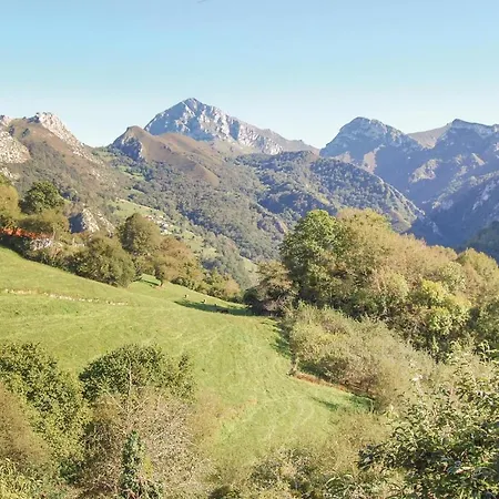 Amazing In With 3 Bedrooms And Wifi Lejlighed Ponga
